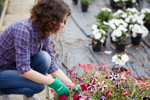 Mulched garden paths from recycled green waste