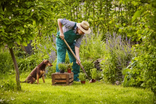 Electric low-carbon van used by gardening crew